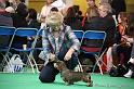 Crufts2011_2 1106